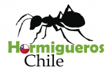 HormiguerosChile Blog